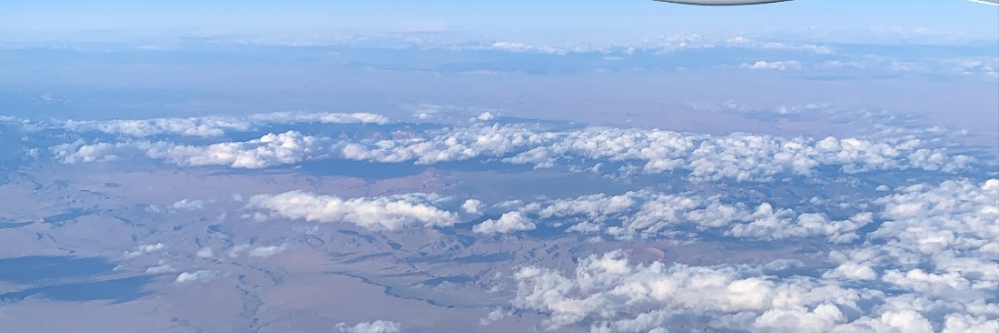 TreciePooh's profile banner image