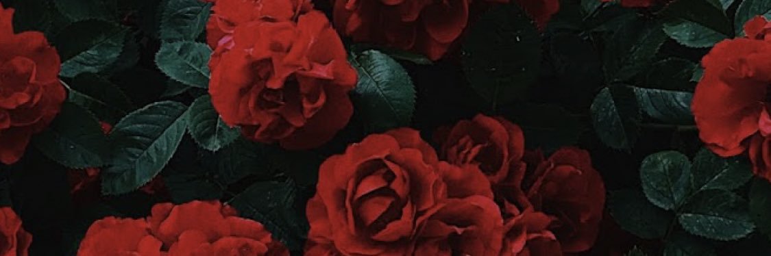 BryanLaConciencia banner
