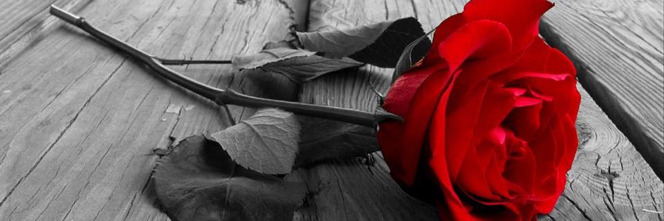 Chris5418's profile banner image