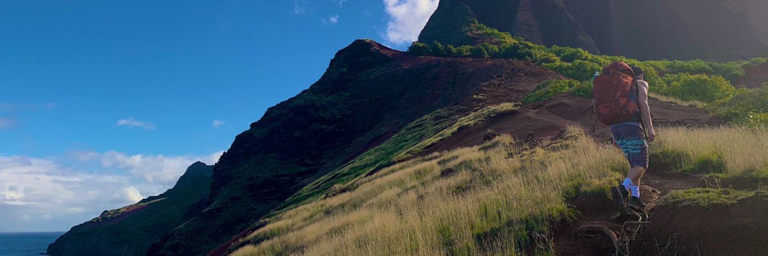 joeyroar's profile banner image
