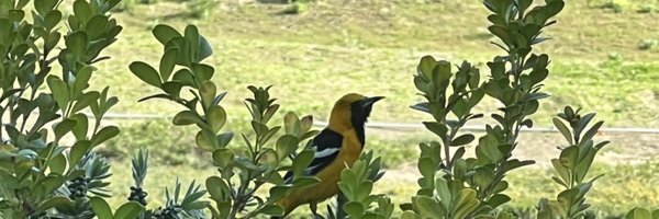 PhilOReilly86 Profile Banner