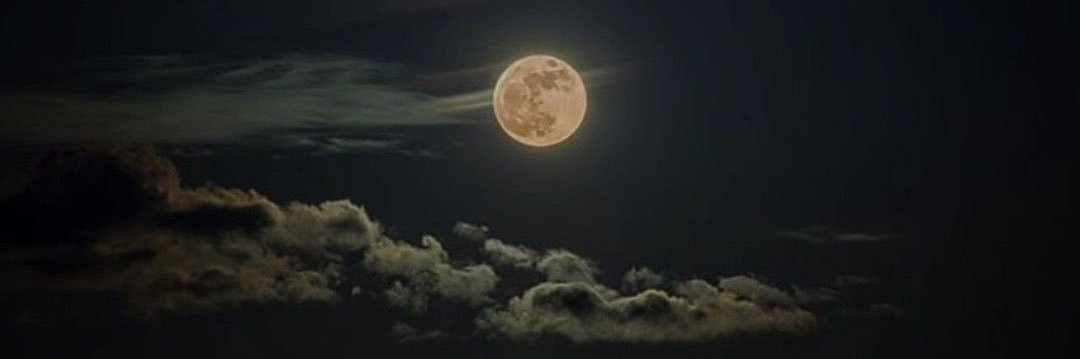 Margarita 🌼 banner