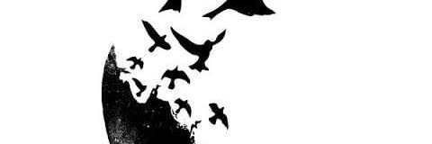AsezaRoto's profile banner image