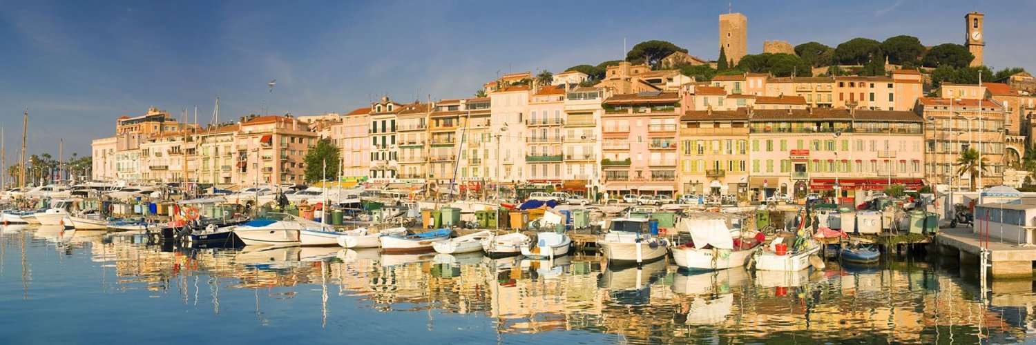 Tamara Mel ❤️ Memecoin banner