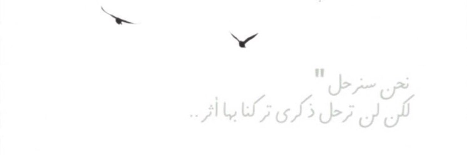nm12313's profile banner image