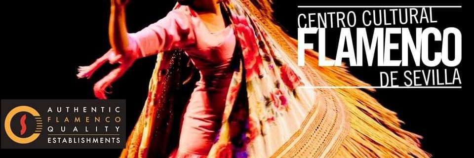 Casa de la Memoria banner