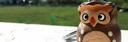 Owlibus's profile banner image