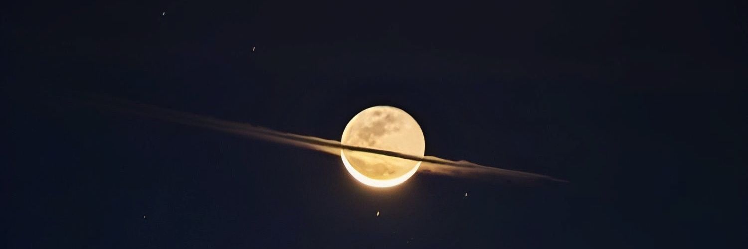 MayisFalcon's profile banner image