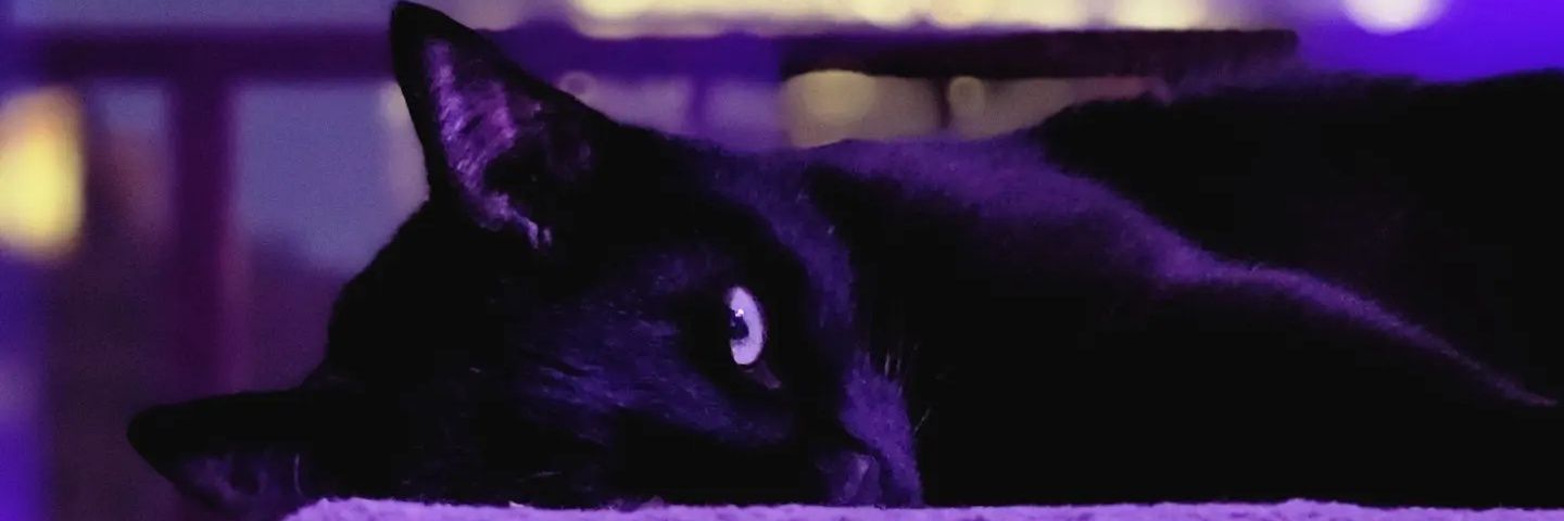 danesusername's profile banner image