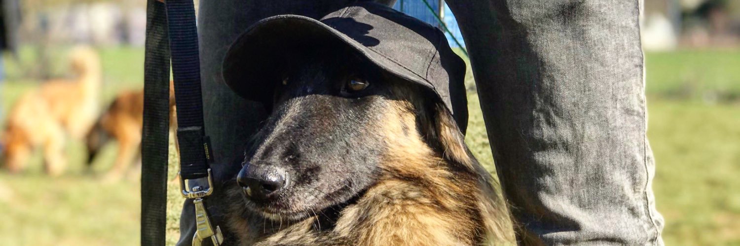KrisKroo's profile banner image