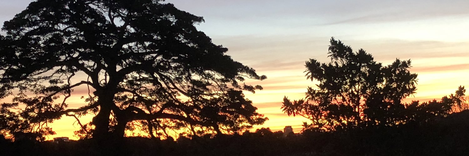 dianne_comrie's profile banner image