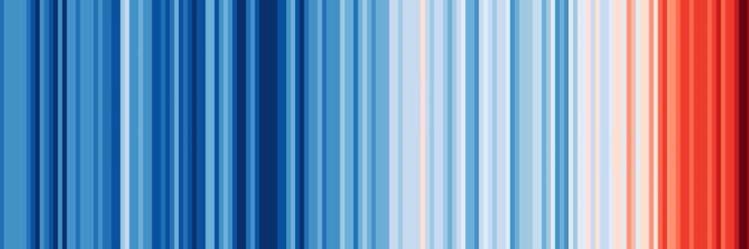 netty edwards banner