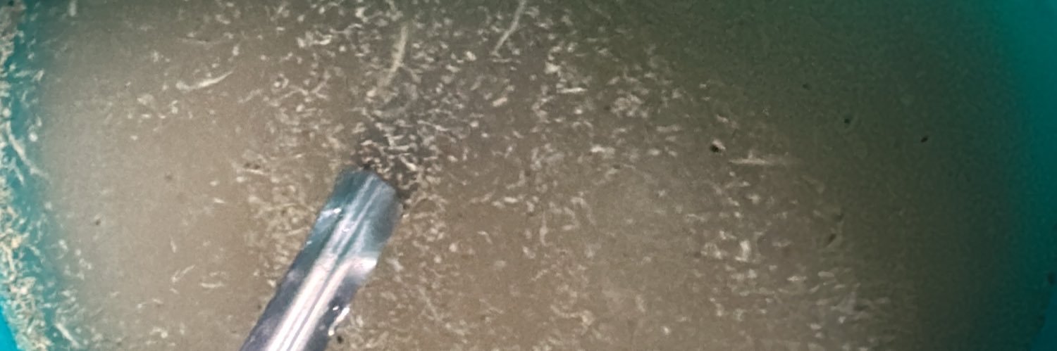 Jardani Oni Garri( ジョン)🇯🇵🇳🇬 banner