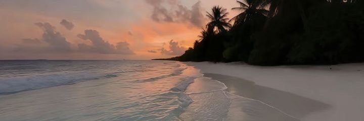 ranswest_'s profile banner image