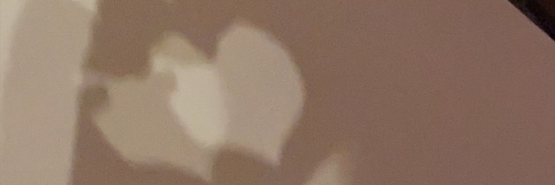 feerchx's profile banner image