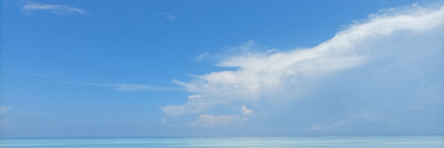 GeorgeMango01's profile banner image
