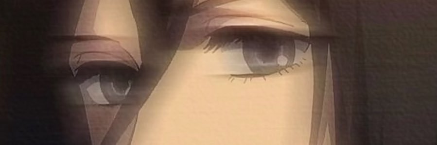 琳 banner