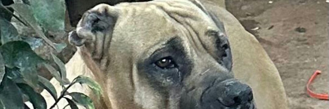 EavyniceN's profile banner image