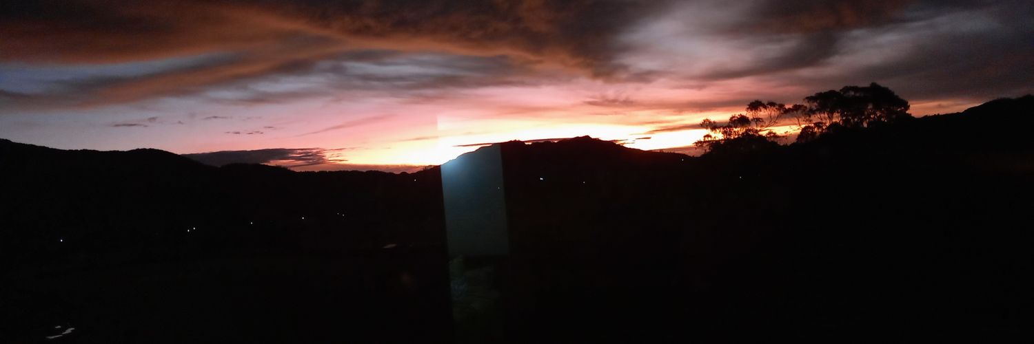 Marisol Londoño  banner