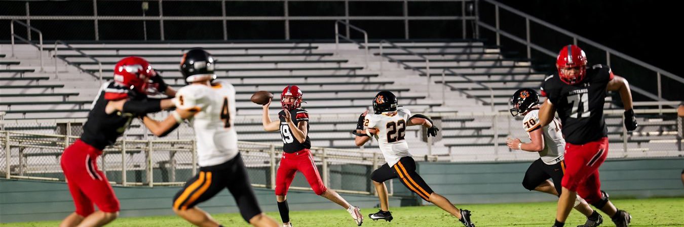 Hawke Shoenfeld banner