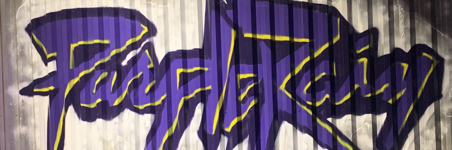 DocGingerS's profile banner image
