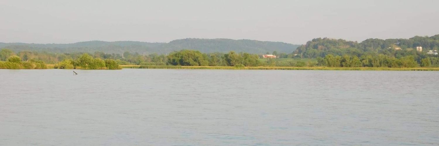 Andrew ₿ banner