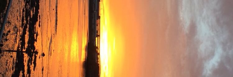 Layton Chapmaan banner