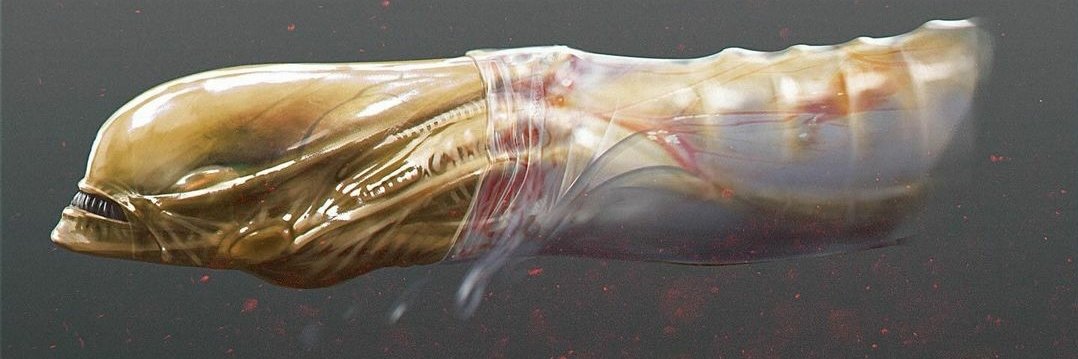 Frank Sellers 🍀 banner