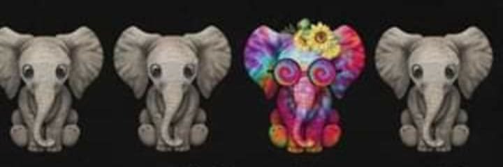 _flordachuva's profile banner image
