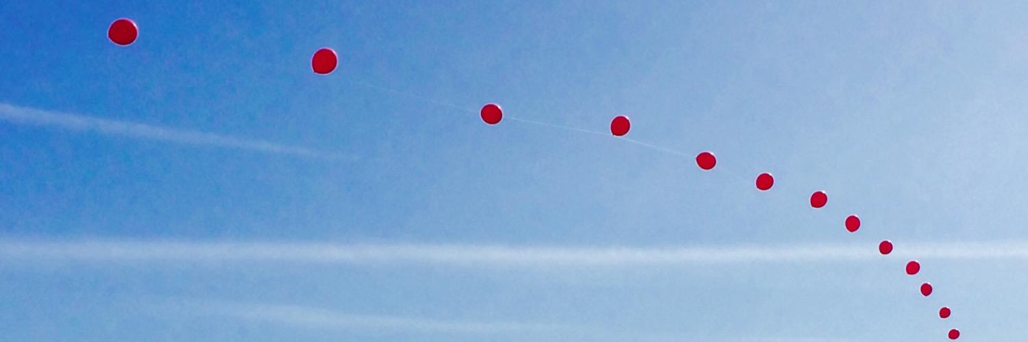Christine Stauder banner