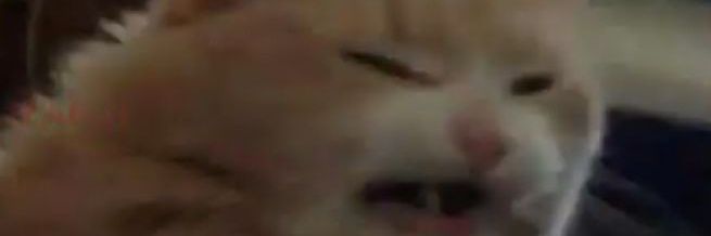 มู่ banner
