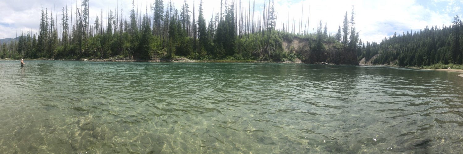 Nik Embernate banner