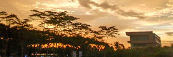 comstelation Profile Banner