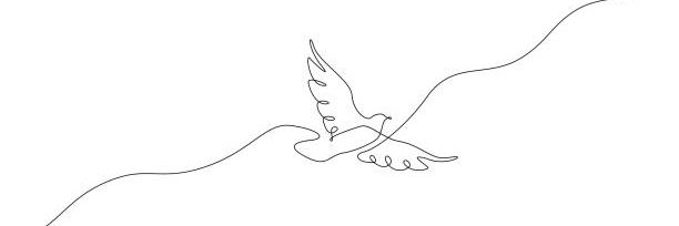 Rotana Radwan banner