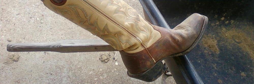 barngrl's profile banner image