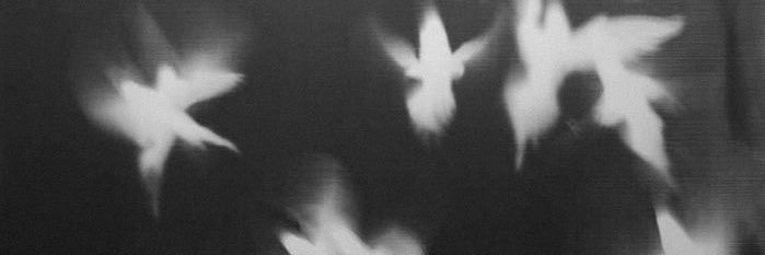 W!NFREY banner