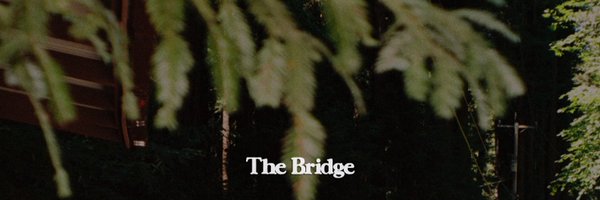 blimesbrixton Profile Banner