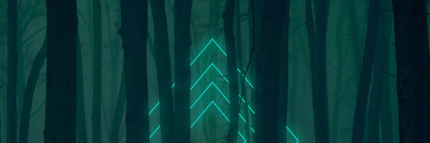 dmousky's profile banner image