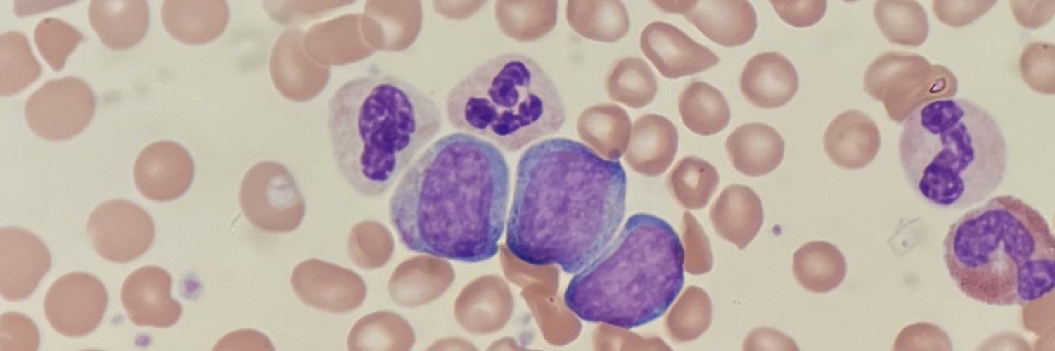 Charles Milrod, MD banner