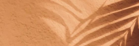 julysantosf's profile banner image
