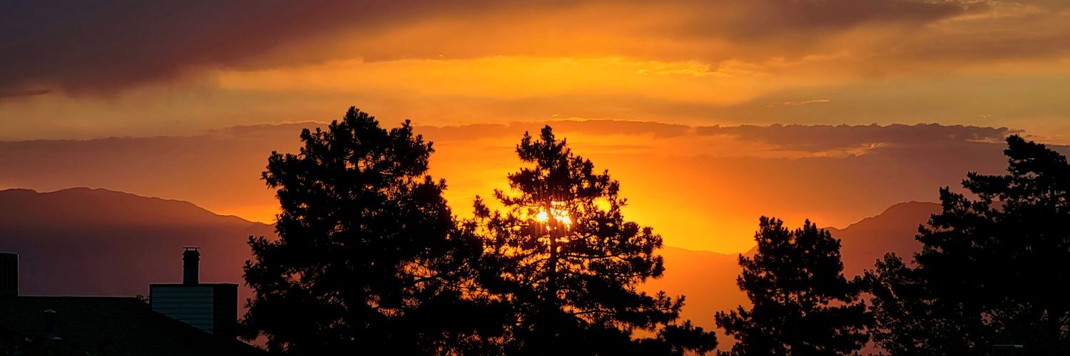 Terrence Rollins banner