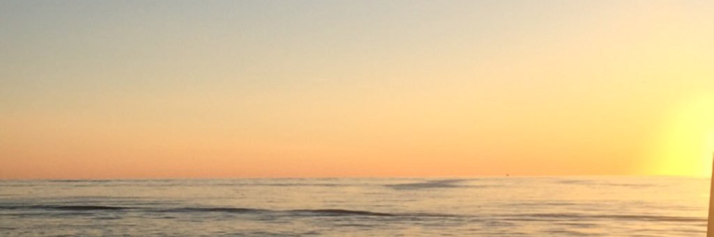 msteadiii's profile banner image