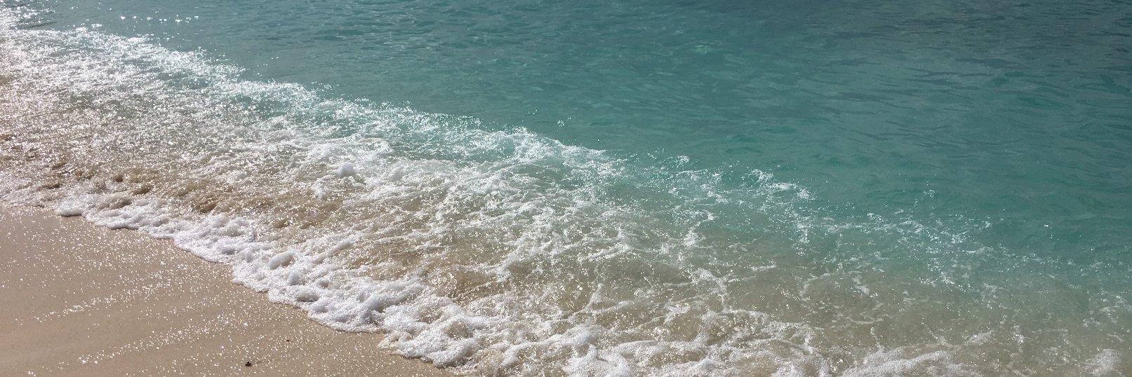 JHiggons's profile banner image