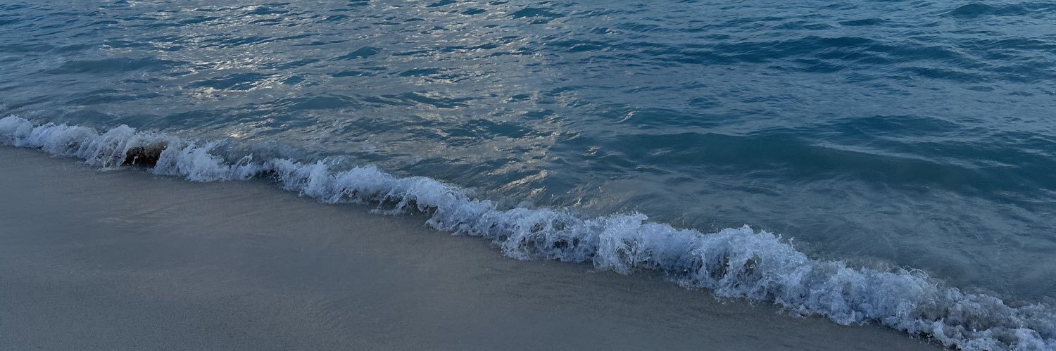 PugnoMercedes_'s profile banner image