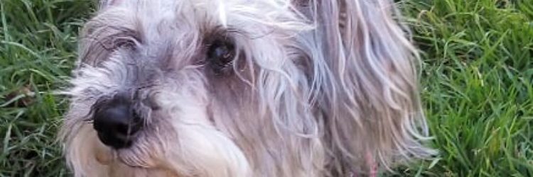 ri_bety's profile banner image