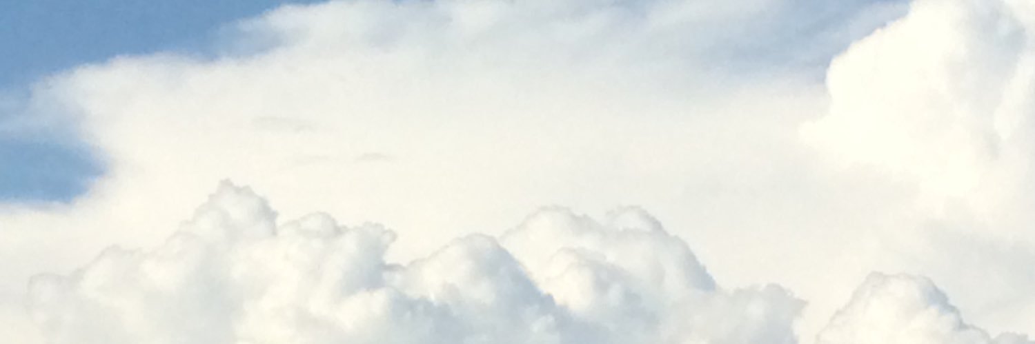 EF_kormivi's profile banner image