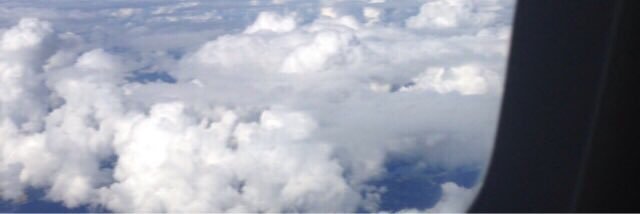 boredgina's profile banner image