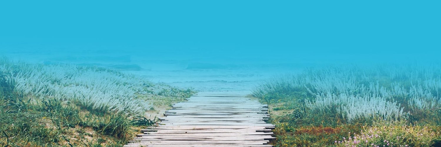 turtilze's profile banner image