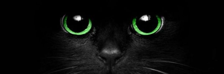 LiveGee's profile banner image