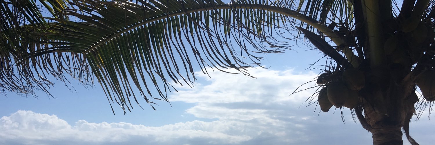 MayhemMaggie24's profile banner image